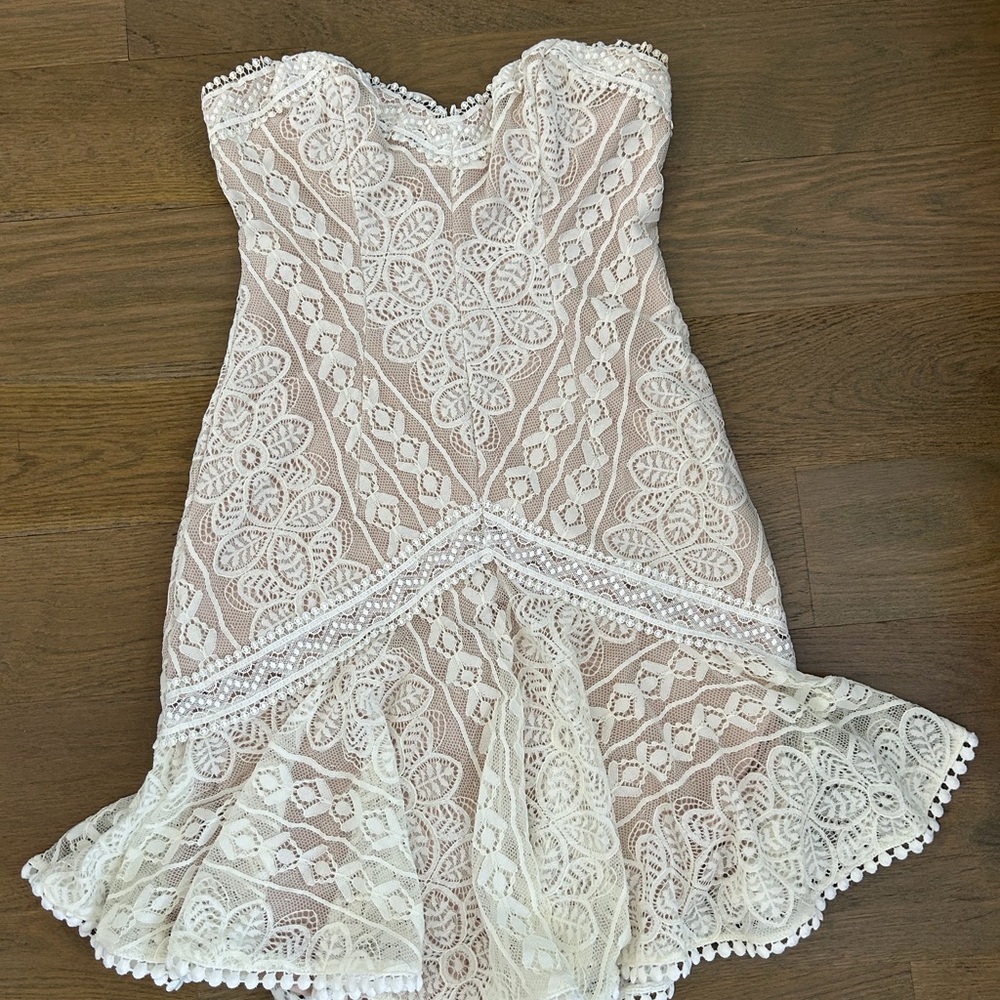 Angel Biba Lace Satin Lined Dress